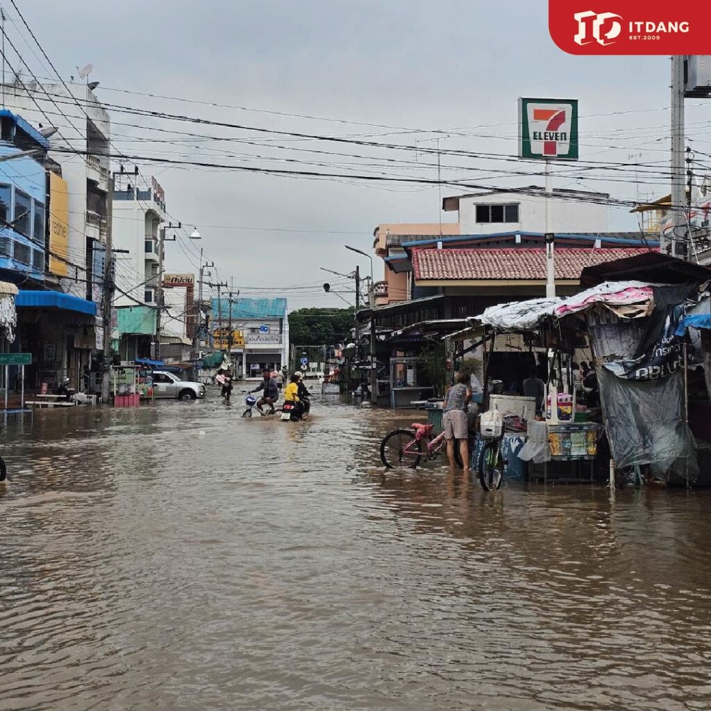 อิฐแดงช่วยนน้ำท่วม