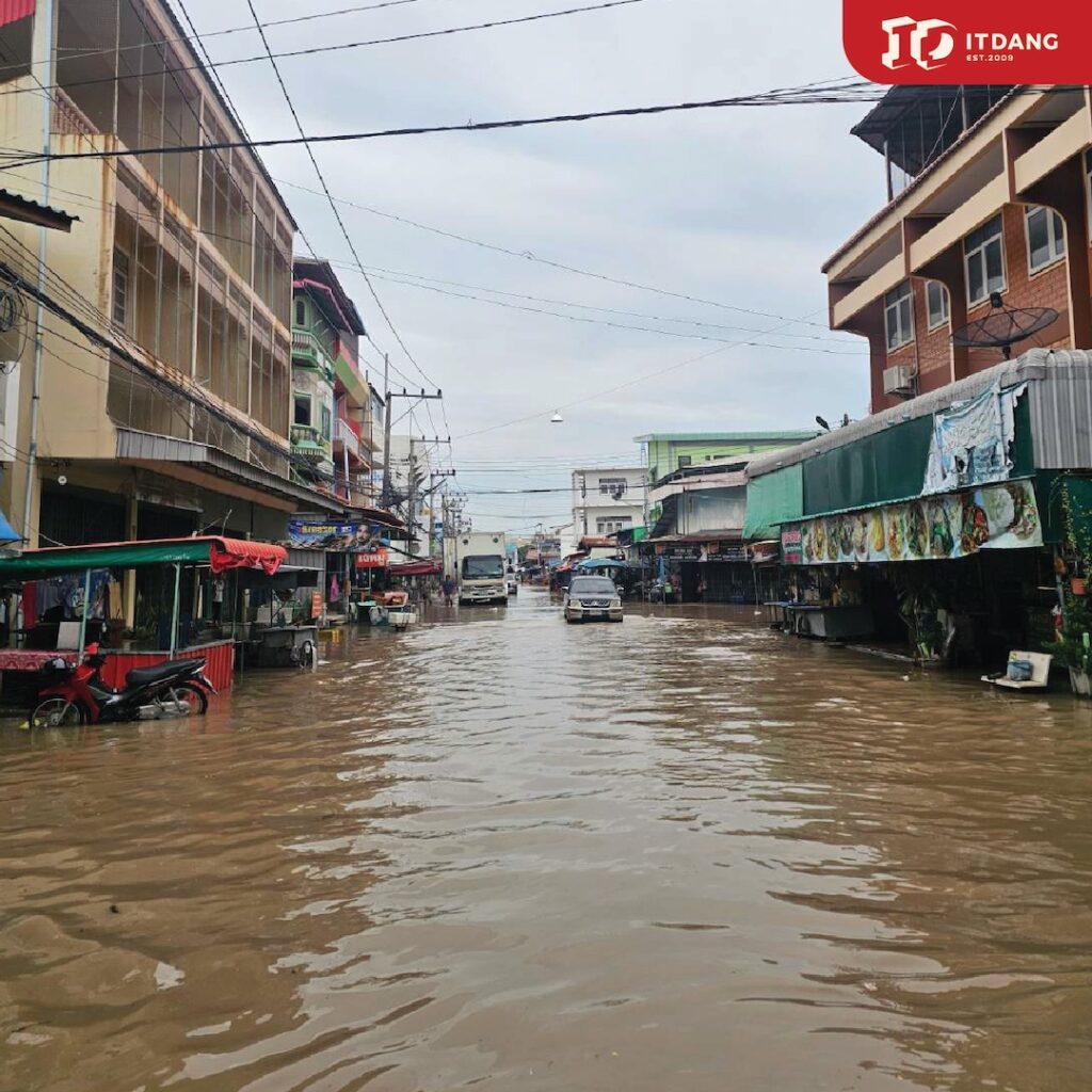 อิฐแดงช่วยนน้ำท่วม