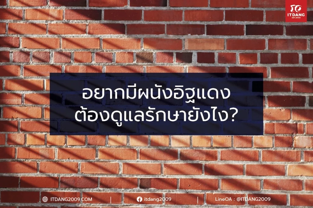 อยากมีผนังอิฐแดง ต้องดูแลรักษายังไง? 