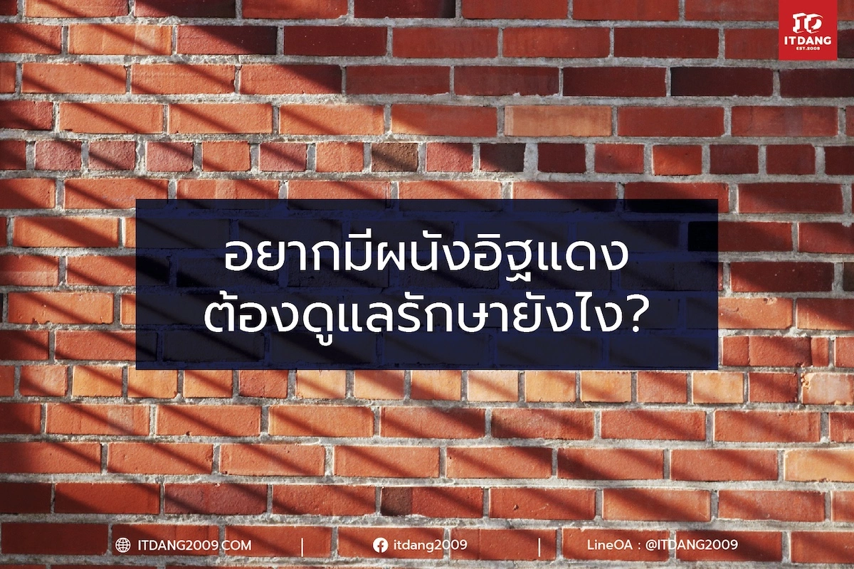 อยากมีผนังอิฐแดง ต้องดูแลรักษายังไง? 