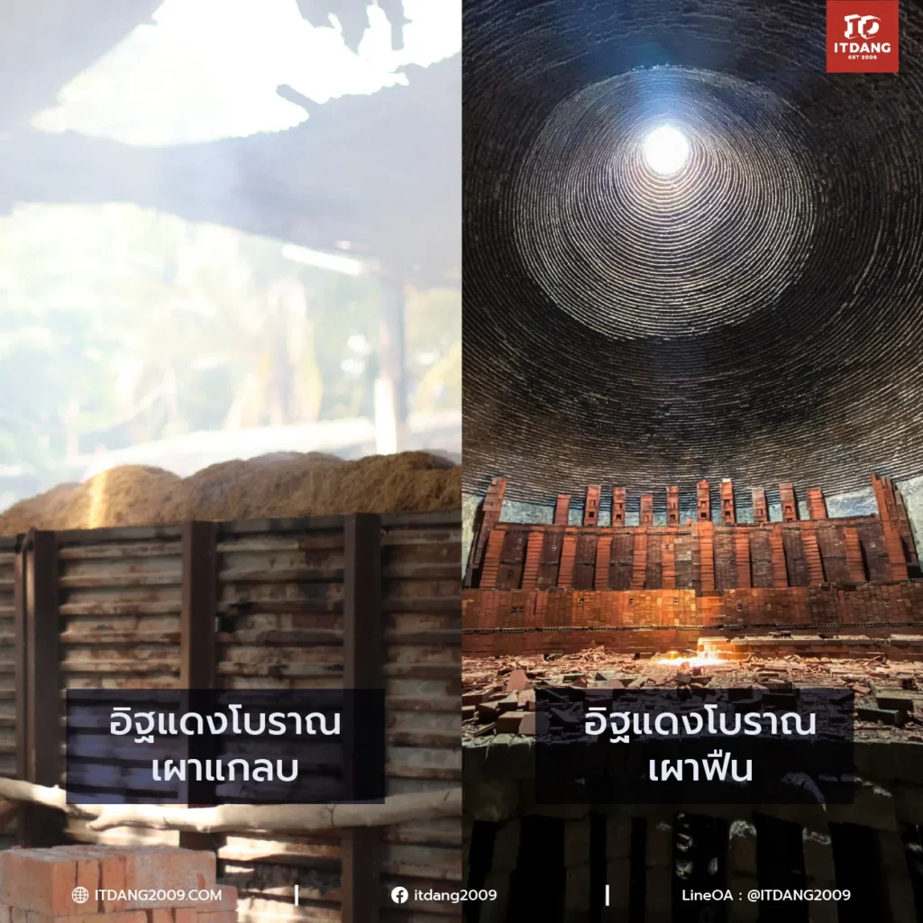 เมื่ออิฐแดงโบราณเผาแกลบสัมผัสกับความชื้นจากน้ำฝนในปริมาณที่พอเหมาะ ประกอบกับการอยู่ในพื้นที่ที่มีร่มเงาหรือความชื้นสะสม จะเกิด ตะไคร่เขียว (Green Moss/Algae) ขึ้นตามร่องและผิวสัมผัสขรุขระของอิฐ